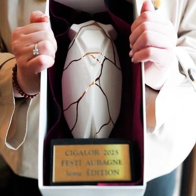 Festiaubagne 2025 J1 C Anne Sophie Guebey 45